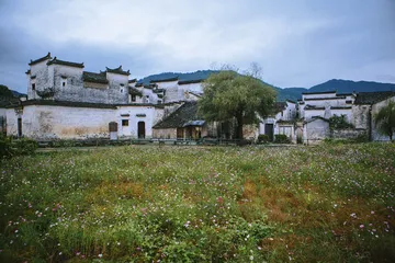到乡村去1