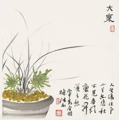 “花奴”宁锐1