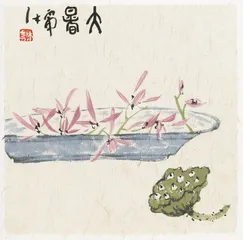 “花奴”宁锐3
