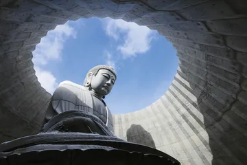 安藤忠雄：连战连败，连败连战