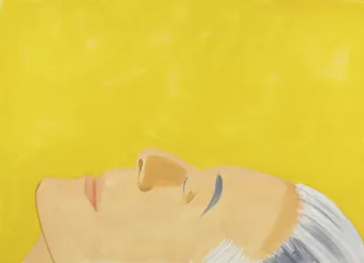 在视觉的快感和智力的快感之间