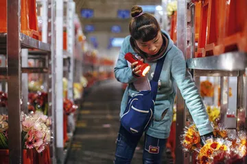 一朵花，去全世界寻找她的美5