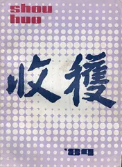 王安忆：我们以谁的名义（2）2