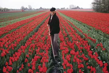 一朵花，去全世界寻找她的美20