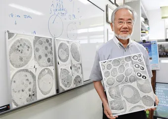 大隅良典：做别人没做过的事