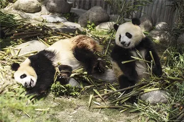 美国国家公园：最好的构想8
