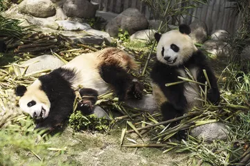 9个国家公园试点0