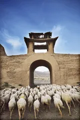 山河岁月，河西走廊上的长城碎片3
