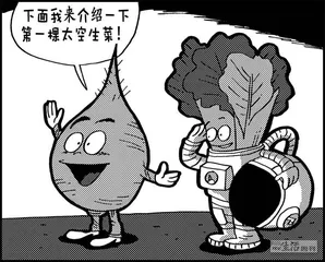 声音（913）