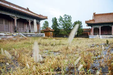 清东陵盗案：疑云与困局1