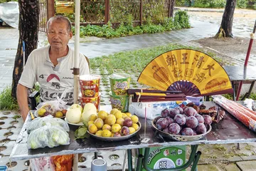 清东陵盗案：疑云与困局2
