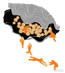 消费·理财（903）1