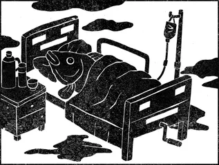 马王堆0