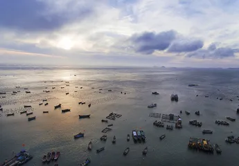 舟山渔场的兴衰1