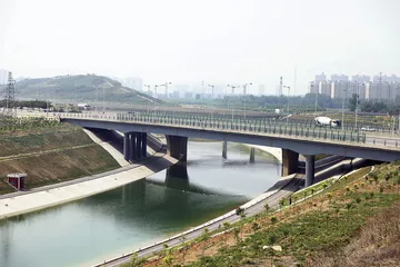 “聂树斌案”的再审之路2