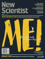环球要刊速览（895）4