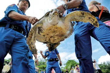 蓝色沙漠中的猎人6