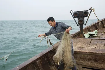 艰难的转型1