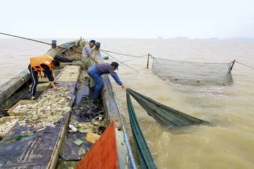艰难的转型4