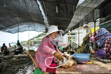 渔业的未来5