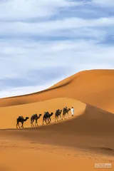 好消息·坏消息（897）