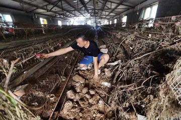 邢台大贤村：洪水里的生死场
