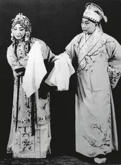 陌生的汤显祖3