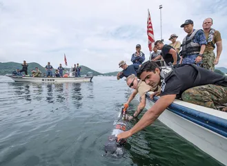 “中等强国焦虑”：日本的政治变数3