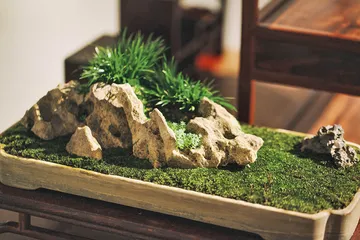 “菖蒲亦复有金钱”