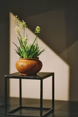 “菖蒲亦复有金钱”1