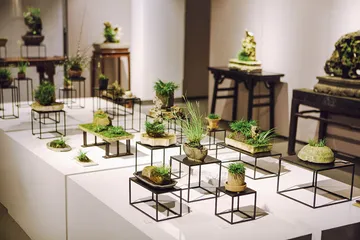 “菖蒲亦复有金钱”3