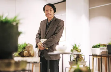 “菖蒲亦复有金钱”4