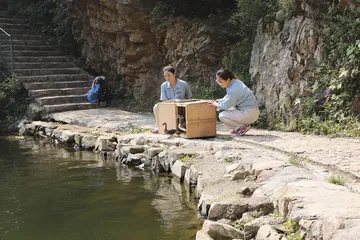 城市中心，有一座动物园7