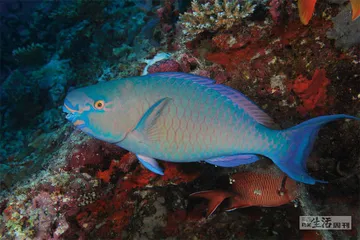 好消息·坏消息（882）1