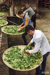 岩茶，24小时诞生记8