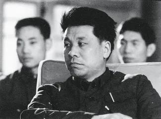 刘心武：更自由扇动文学的翅膀（1）0