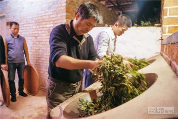 岩茶，24小时诞生记12