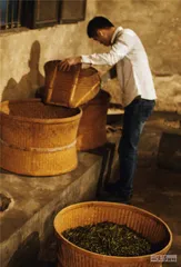 岩茶，24小时诞生记14
