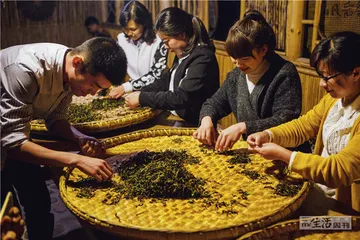 岩茶，24小时诞生记15