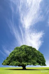 好消息·坏消息（889）