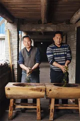 正山小种：“熏”出来的传奇1