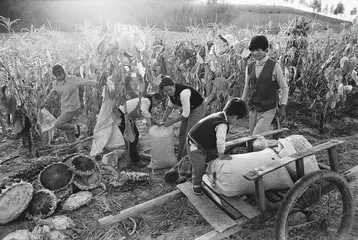 12年后，重识侯登科4