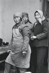 12年后，重识侯登科5