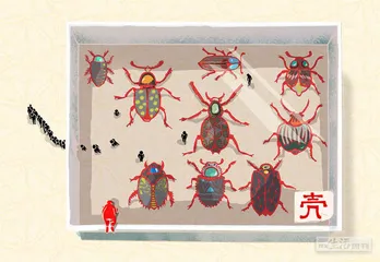 消费·理财（885）