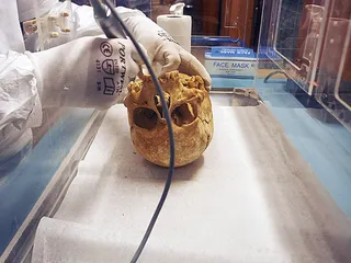 用DNA追寻欧洲的起源？1