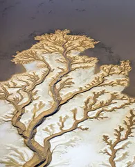 天下(885)3