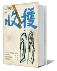 王蒙：不仅仅为了文学（5）1