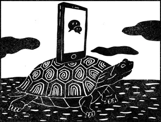 真假巴西生物学0