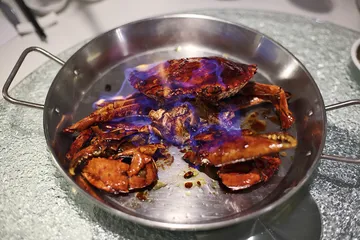 新加坡生活史的主流叙事13