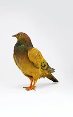 ​一个数字化时代的艺术家和他的模拟考古3
